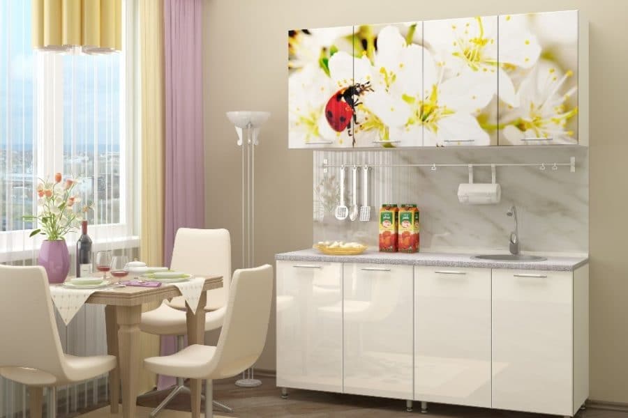 Кухня с фотопечатью Божья коровка 160 см 