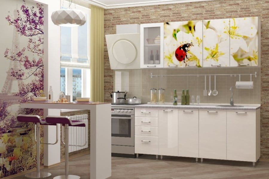 Кухня с фотопечатью Божья коровка 1,8 м 