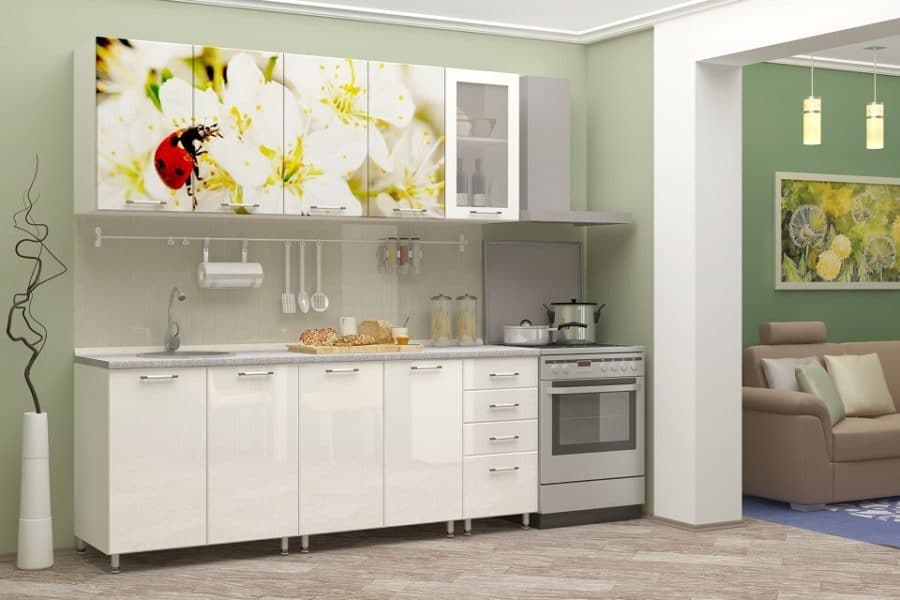 Кухня с фотопечатью Божья коровка 2,0 м 