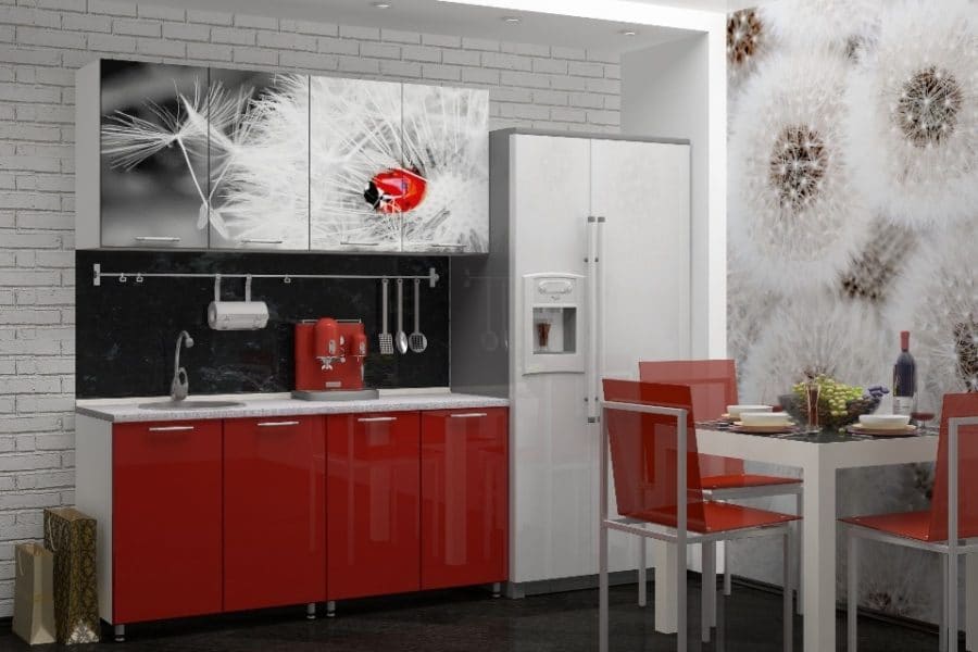 Кухня с фотопечатью Одуванчик 160 см 