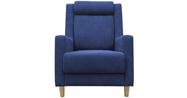 Кресло для отдыха Дарвин темно-синий фото | интернет-магазин Складно